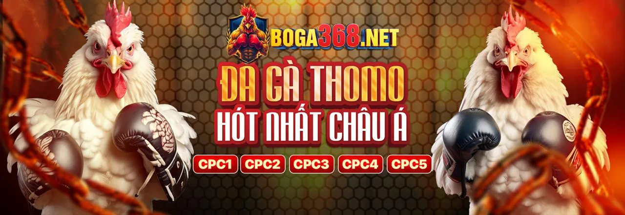 Hoàn trả Live Casino hàng ngày/tuần MH88